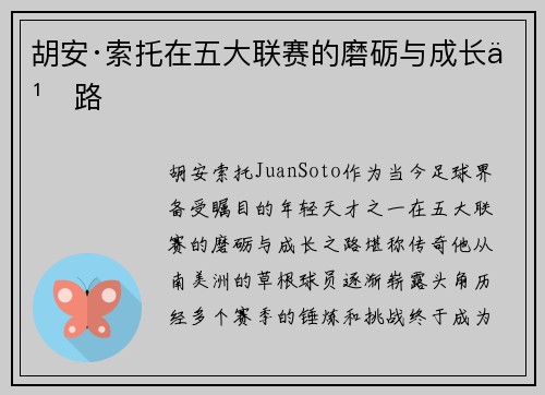 胡安·索托在五大联赛的磨砺与成长之路